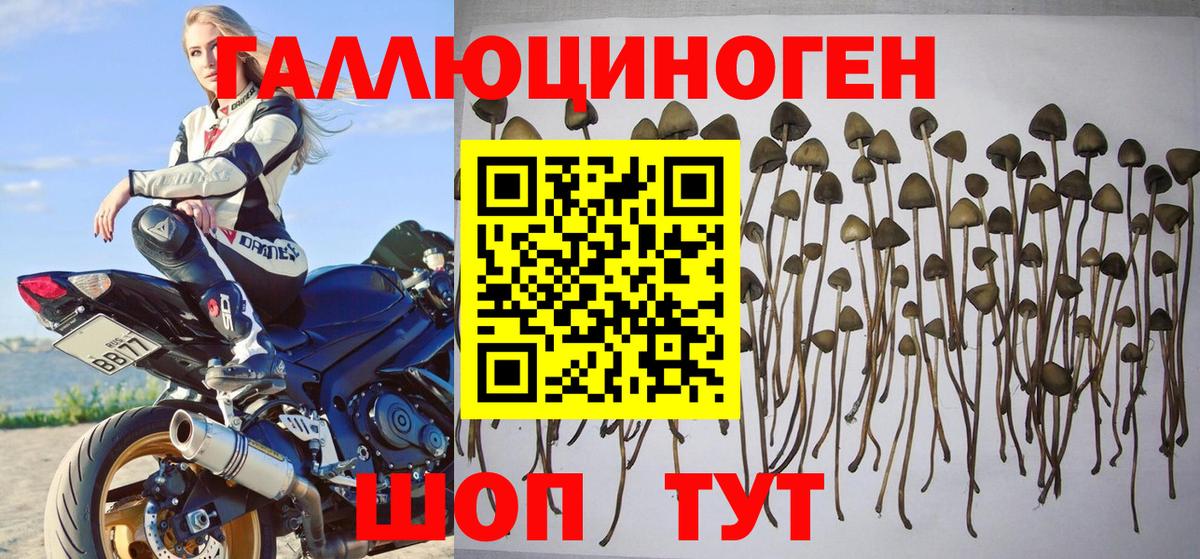 Псилоцибиновые грибы MAGIC MUSHROOMS  Вход с VPN  Пугачёв 